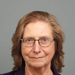 Prof. dr. J.C.M. van Eijndhoven