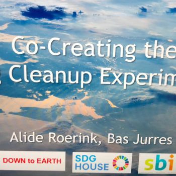 ‘The Big Cleanup Experiment’