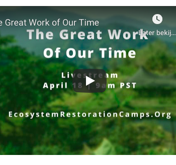 Tip! The Great Work of our Time – online conversation – April 18th – 18.00 – 23.00 A’dam time